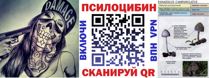 закладка  Чкаловск  Псилоцибиновые грибы ЛСД 